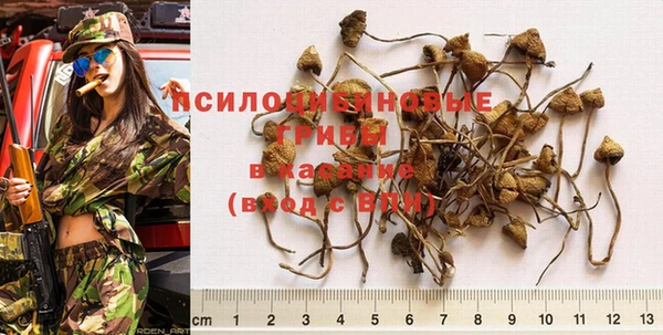 индика Верея