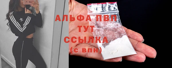 индика Верея