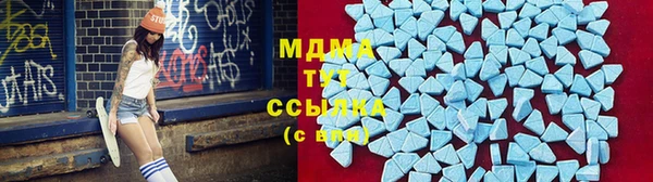индика Верея