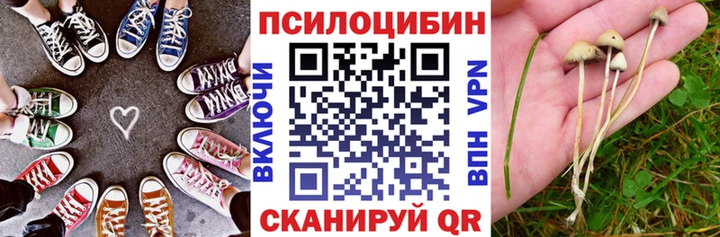 купить наркоту  Киреевск  Псилоцибиновые грибы прущие грибы 